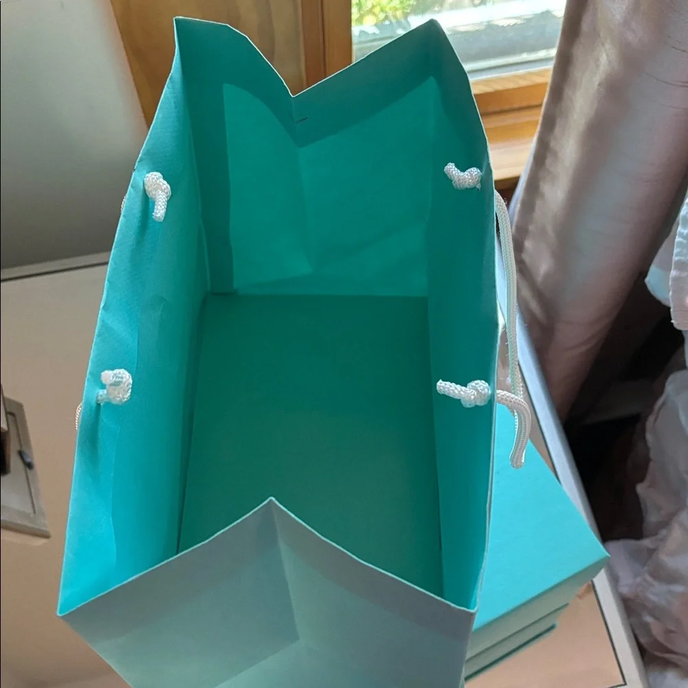 Tiffany & Co. good bag